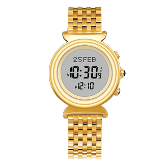 Ladies watch