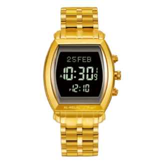 Elegance Watch